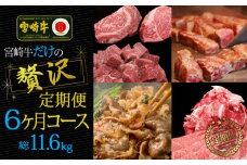 ブランド黒毛和牛＜宮崎牛＞贅沢肉定期便 6ヵ月コース【G14】