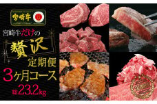 ブランド黒毛和牛＜宮崎牛＞贅沢肉定期便 3ヵ月コース 合計23.2kg【G15】