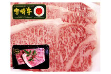 ＜宮崎牛＞サーロインステーキ 合計200g（100g×2枚）【B473-60】