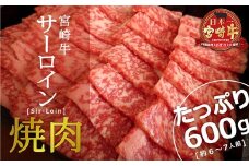 ＜宮崎牛＞サーロイン焼肉 600g【E120-60】
