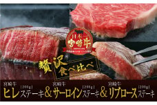 ＜宮崎牛＞リブロース&サーロイン&ヒレステーキ 食べ比べセット 合計600g【E122-60】