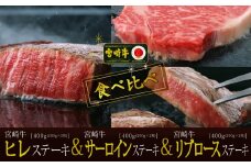 ＜宮崎牛＞食べ比べ リブロース＆サーロイン＆ヒレステーキ 合計1.2kg【E123-60】