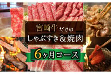 ＜宮崎牛＞しゃぶすき＆焼肉 6ヶ月コース【F80】