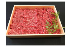 宮崎黒毛和牛『こゆ牛』赤身焼肉 600g A4等級以上【C262】