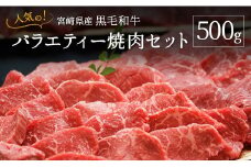 宮崎県産黒毛和牛バラエティー焼肉セット 500g【B492】