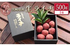 ＜限定50セット＞宮崎県産 生ライチ「至高の紅玉」計500g 人気 国産 希少 果物 旬 ギフト プレゼント【B321-25】