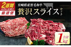 宮崎県産黒毛和牛＜新富育ちGyuGyu・贅沢スライスセット（500g×2P）＞合計1kg 肉 牛肉 宮崎県産【B653】
