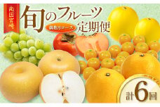 ［全6回］南国宮崎 旬のフルーツ定期便 偶数月コース【E144-24】