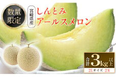 ＜数量限定＞しんとみアールスメロン 2L2玉 計3kg以上 先行予約 国産 フルーツ 果物 宮崎県産 ※2025年5月～7月の期間内に出荷【B520-02】