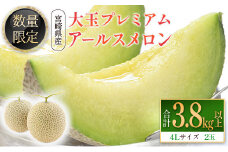 ＜数量限定＞大玉プレミアムアールスメロン 4L2玉 秀品 計3.8kg以上 先行予約 国産 宮崎県産 ※2025年11月〜12月の期間内に出荷【C331-01】