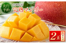 ＜先行予約＞宮崎県産 完熟マンゴー2Lサイズ2玉 国産 数量限定 人気 くだもの【B510-25】