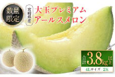＜数量限定＞大玉プレミアムアールスメロン 4L2玉 秀品 計3.8kg以上 先行予約 国産 宮崎県産 ※2025年5月～7月の期間内に出荷【C331-02】
