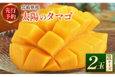 先行予約 「太陽のタマゴ」2Lサイズ 2玉 完熟マンゴー 宮崎県産【C218-25】
