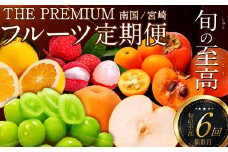 南国宮崎 旬の《至高》フルーツ定期便 偶数月コース【F96】