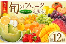 南国宮崎からお届け！旬のフルーツ 12ヵ月定期便【F105-25】