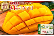 完熟マンゴー＜太陽のタマゴ＞5L×1玉(650g以上) 化粧箱入 宮崎県産 フルーツ くだもの 国産【D114-25】