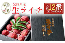 ［2026年発送］先行予約＜限定50セット＞宮崎県産 生ライチ「至高の紅玉」大粒12個入 人気 国産 希少 果物 旬 ギフト プレゼント【C366-26】