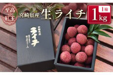 ＜限定50セット＞宮崎県産 生ライチ「至高の紅玉」計1kg 人気 国産 希少 果物 旬 ギフト プレゼント【C365-25】