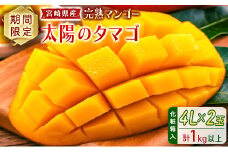 完熟マンゴー＜太陽のタマゴ＞4L×2玉（計1kg以上）化粧箱入 宮崎県産 フルーツ くだもの 国産【E169-25】