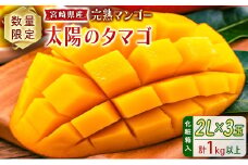数量限定 宮崎県産 完熟マンゴー＜太陽のタマゴ＞2L×3玉（計1kg以上）※2026年4月下旬配送開始 化粧箱入 フルーツ くだもの【E167-26】