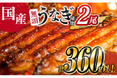 ＜高評価!!＞うなぎ 鰻楽 国産 蒲焼 2尾 人気 無頭 計360g以上 おすすめ 冷凍 簡単調理 個包装 鰻 魚介 贈答品 ギフト 贈り物【B555-60】