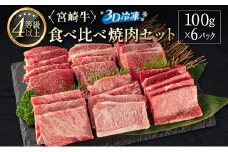 ＜3D冷凍＞宮崎牛 食べ比べ 焼肉 セット(100g×6種類) 4等級 A4ランク 牛肉 ブランド【C349-2502】