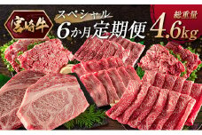 《お楽しみ 6種》『宮崎牛』スペシャル 6か月定期便 総重量4.6kg【F107】