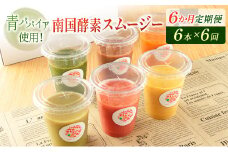 「定期便6か月コース」南国酵素スムージー　200ml×6本セット×6回　 野菜・果実ミックスジュース　青パパイア　果物　フルーツ　飲料　健康　栄養【E178】