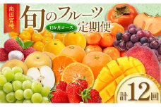 旬のフルーツ定期便 12か月コース【F113-25】