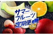 サマーフルーツ定期便 全3回＜マンゴー＆ライチ・メロン・みかん＞※2025年5月開始【E185-25】