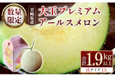 ＜数量限定＞大玉 プレミアムアールスメロン 4L1玉 秀品 1.9kg以上 先行予約 国産 贈答 化粧箱入 宮崎県産 ※2024年11月〜12月の期間内に出荷【B578-01】