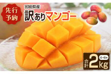 ［訳あり］宮崎県産マンゴー《家庭用》2kg以上（4～6玉）新富町産 完熟 フルーツ 果物【C217-26】