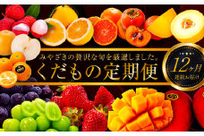 青果店チョイス！くだもの定期便Vol.2(全12回)【F116】