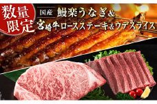 鰻楽 国産 うなぎ 1尾 & 宮崎牛 ロースステーキ 1枚 250g ＆ 宮崎牛 ウデ スライス 500g 土用 丑の日 BBQ ごちそう 牛肉【C128-30】