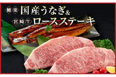鰻楽 国産うなぎ 2尾 計360g ＆ 宮崎牛 ロースステーキ 250g×2枚 計500g 肉質等級4等級 国産 人気 おすすめ【C129-30】