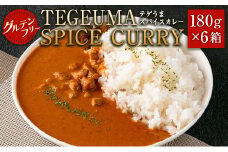 グルテンフリー 無水チキンカレー TEGEUMA SPICE CURRY（テゲうまスパイスカレー）180g×6箱【B595】