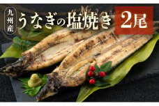 うなぎの塩焼き 2尾 合計320g以上 九州産【C403】