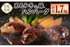 宮崎県産黒毛和牛100％＆県産豚100％ハンバーグセット 合計1.7kg【B611】