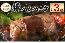 宮崎県産豚ハンバーグ 計3kg【B612】