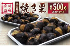 ＜先行予約＞宮崎県産 低温熟成栗［焼き栗］計500g（250g×2パック）おやつ 秋の味覚 お取り寄せ【B617-25】