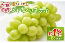 先行予約 シャインマスカット 2房 約1kg+100g補償付 宮崎県産【B606-25】