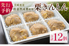 宮崎県産 低温熟成栗100%［栗きんとん］計12個 おやつ 甘い お取り寄せ【B619-25】