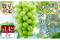 ＜数量限定＞先行予約 竹村ぶどう園 完熟 シャインマスカット 計1.4kg以上（2房）国産 白葡萄【B622-25】
