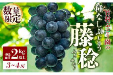＜数量限定＞先行予約 竹村ぶどう園 種なし ぶどう「藤稔」計2kg以上（3～4房）国産 葡萄 大粒 産地直送 ふじみのり【C420-25】