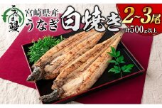 「こだま鰻」宮崎県産 うなぎ白焼き（2～3尾）計500g以上 国産 真空パック【C418-25】