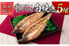 ＜数量限定＞「こだま鰻」宮崎県産 うなぎ白焼き 5尾 国産 真空パック【D132-24】