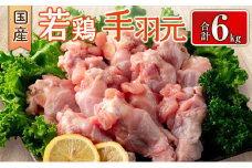 国産若鶏手羽元 合計6kg 鶏肉 九州産【B625】