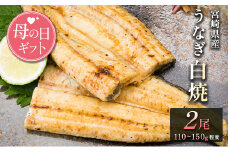 母の日対応「玄人の一品」うなぎ 白焼き ギフト 2尾（110～150g/1尾あたり）宮崎県産鰻 蒲焼きタレ付（50ml×1本）配送日指定可 国産 有頭 熨斗 贈答品【N48-25】