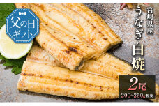 父の日対応「玄人の一品」うなぎ 白焼き ギフト 2尾（200～250g/1尾あたり）宮崎県産鰻 蒲焼きタレ付（50ml×1本）配送日指定可 国産 有頭 熨斗 贈答品【N55-25】