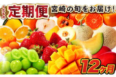 宮崎の旬をお届け！くだもの12か月定期便【F135】